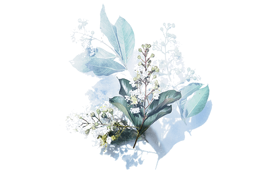 Kosmomed Rosenheim • Medizinische Hautpflege • Kosmetikstudio